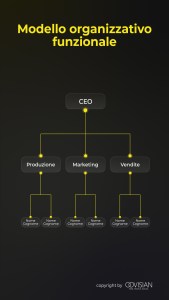 Modello Organizzativo Funzionale