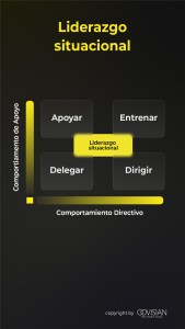 Lista de estilos de liderazgo situacional en las empresas
