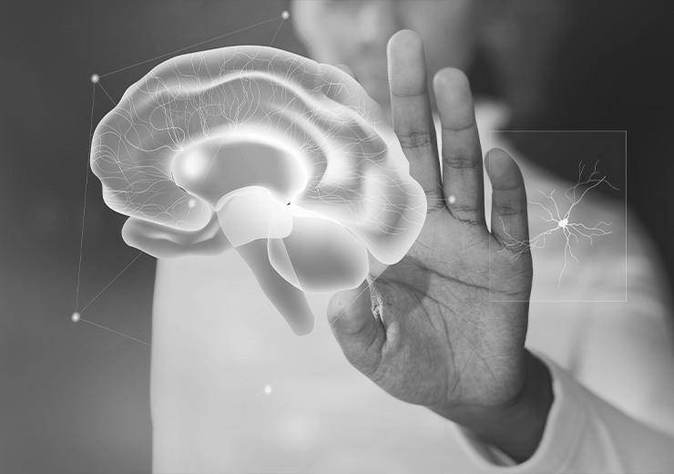 Neurociencia y atención al cliente