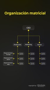 Organización matricial